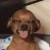 kayleyo1