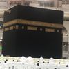 alya39086