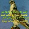 user9846261825653