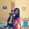 pujel_29