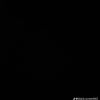 yxp_rolando42