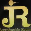 rincon861