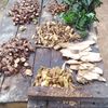 nanaansah02