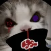 dy3e0yczkup4
