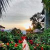 Ella Flower Garden Resort