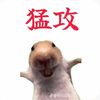 tsang.sung.lai