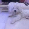 moniquemiollany
