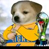 alejandrosalinas076