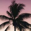 dutagalau93