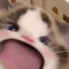 socuteeiei55555