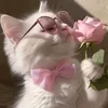 llzll19