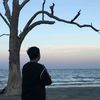 rimba_jelata
