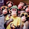 6iz_monkeys