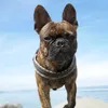 wearepetfamily