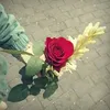 evaabdi745