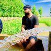zaryabmughal000