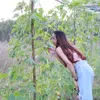 km.b19