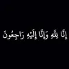 sargardanm_m