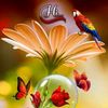 chiranjeevigangaram678