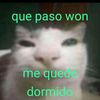 renato....xd