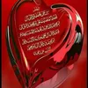 fatimasyed6695
