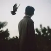 userb80dir873u