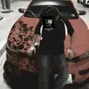 sr._.1.1