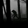 dirtywolf92