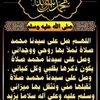 monaelkatani980