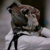 𝐘-10➪سهـم