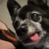 alfietheman14