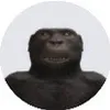 alfieyb09