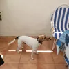 manu_06286