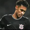 thiagocria33
