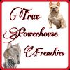 truepowerhousefrenchies