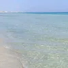 lauraalberganti