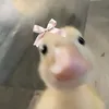 0sgee