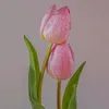 brisavallejo792