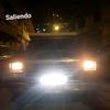 reydi.16894949