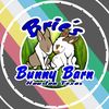 briesbunnybarn