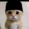 adli_1911