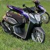 kash_g.5