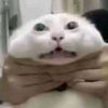 elpisusxd