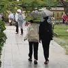 vannhat_210