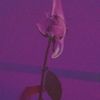 50_shade_of_blue1