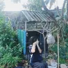 .ngoc_ahn