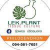 lekplant