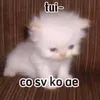 1710.2009