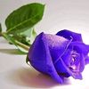 zeki.yilma.z