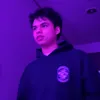 damapollosan
